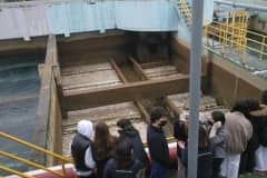 IMG_20220324_113305_908