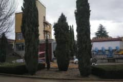 IMG_20220324_113827_635