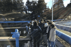 etap_torrelaguna_04