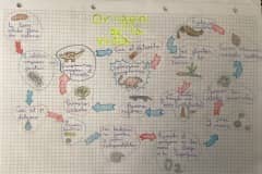 FOTO-5