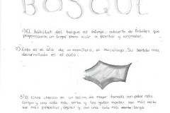 BOSQUE-1
