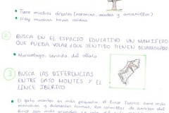 BOSQUE-2