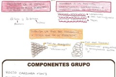 SABANA-1