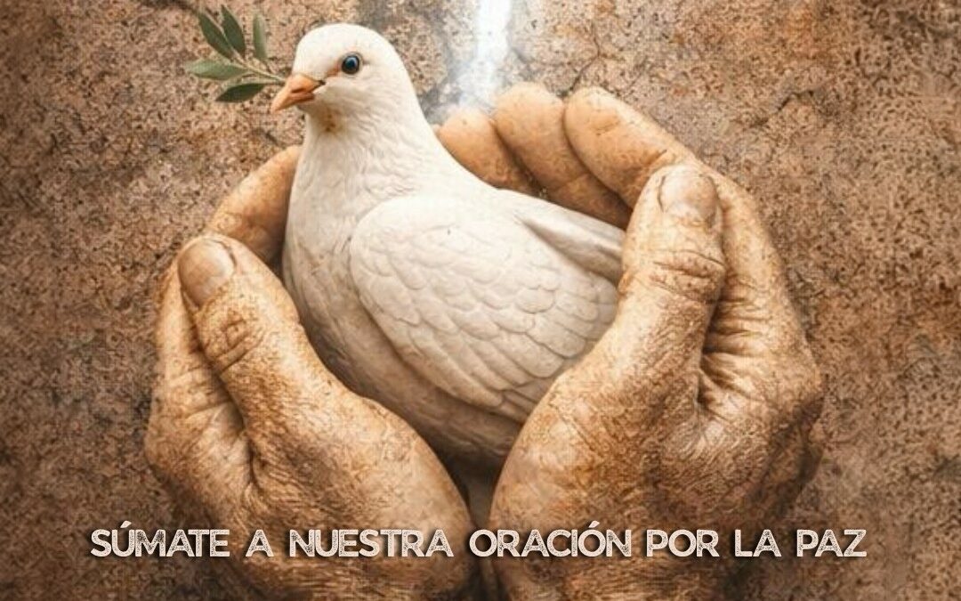 LLAMADOS A SER ARTESANOS DE PAZ
