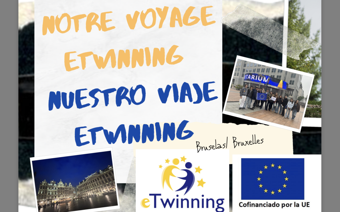 E-Twinning