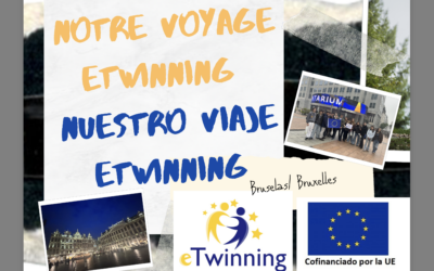 E-Twinning